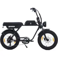 AGM GT250 - Fatbike - 12.8Ah - Zwart - Hydraulische remmen
