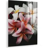 MuchoWow Glasschilderij 120x160 cm - Schilderij acrylglas - Bloemen - Roze - Zwart - Flora - Botanisch - Foto op glas - Muurdecoratie woonkamer - Wanddecoratie slaapkamer - Schilderijen