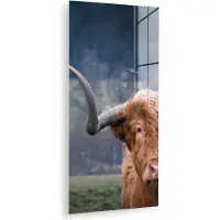 MuchoWow Glasschilderij 60x120 cm - Schilderij acrylglas - Schotse Hooglander - Koeienkop - Landschap - Natuur - Koe - Foto op glas - Muurdecoratie woonkamer - Wanddecoratie slaapkamer - Schilderijen