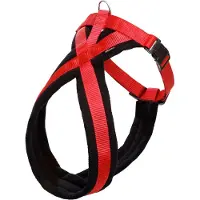 Karlie Sportiv harnas buikomvang 58-70cm rood-zwart M