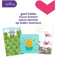 Hallmark navulset wenskaarten, beterschap/sterkte, pak van 12 stuks