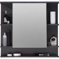 Trendteam badkamerspiegelkast Tetis, grafietdecor/grafiet, 72 x 76 x 20 cm
