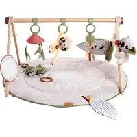 Tiny Love Boho Chic Luxe Developmental Gymini, Speelkleed voor Baby's, Houten Speelgoed Boog, Vanaf 0 Maanden
