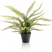 Huismerk Kunstplant Boston Fern Groen