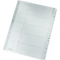 Leitz Register Karton