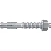 Fischer 45565 FBN II 16/50 Boutanker 170 mm 16 mm 10 stuk(s)