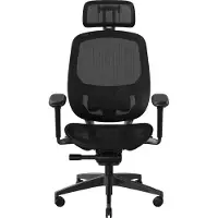 Razer Fujin Pro Gamestoel - Bureaustoel - Verstelbaar - Ergonomisch - Zwart