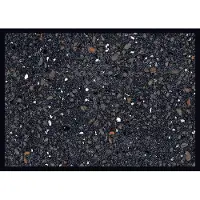 MD-ENTREE Intratuin Deurmat Multi 100 X 67 Cm