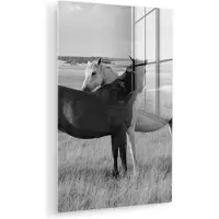 MuchoWow Glasschilderij - Foto op glas - Acrylglas - Dieren - Paarden - Gras - Natuur - 20x30 cm - Glasschilderij paard - Schilderij glas - Glasschilderij dieren - Wanddecoratie - Slaapkamer