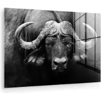 MuchoWow Glasschilderij - Foto op glas - Acrylglas - Dieren - Buffalo - Zwart - Wit - Muurdecoratie dieren - 60x40 cm - Woonkamer - Kamer decoratie - Wanddecoratie