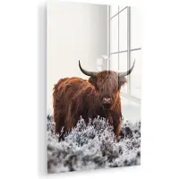 MuchoWow Glasschilderij 120x180 cm - Schilderij acrylglas - Schotse hooglander - Dier - Natuur - Wit - Foto op glas - Muurdecoratie woonkamer - Wanddecoratie slaapkamer - Schilderijen