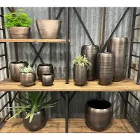 HS Potterie Bari Pot Rosé D 16 x H 14
