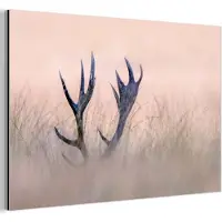 MuchoWow Aluminium schilderij 180x120 cm - Wanddecoratie metaal - Gewei - Hert - Gras - Natuur - Metalen muurdecoratie woonkamer - Decoratie industrieel - Foto op dibond - Industriële accessoires slaapkamer