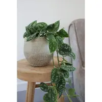 HS Potterie Pot tokio d24h22cm taupe