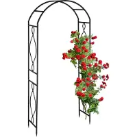 Relaxdays rozenboog zwart - plantenboog metaal - ronde tuinboog - hoge bloemenboog - tuin