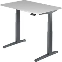 Hjh OFFICE PRO XBHM 12 GG - Grijs 120x80 Tafelhoogte I Elektrisch in hoogte verstelbaar