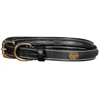 Dyon Fancy Hondenhalsband