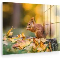 MuchoWow Glasschilderij 120x90 cm - Schilderij acrylglas - Eekhoorn - Herfst - Bosdieren - Herfstbladeren - Bos - Foto op glas - Muurdecoratie woonkamer - Wanddecoratie slaapkamer - Schilderijen