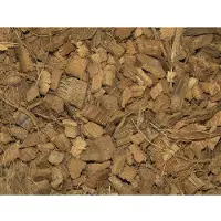 Nobby 81106, Konijn, Beige, Bruin, Kokos