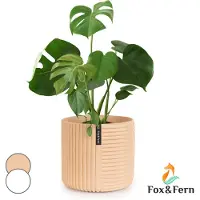 Fox & Fern Bloempot met stop, Bloempot groot voor binnen/buiten, Sierpot UV- en vorstbestendig, Polystone-bloempotten, Bloempot 28,5 cm diameter, Grote plantenpot voor kamerplanten