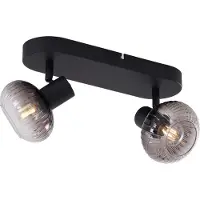 QAZQA Ronde plafondspot zwart met smoke glas 2-lichts - Teddy