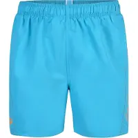 Arena Boardshorts 'FUNDAMENTALS LOGO BOXER' blauw / grijs