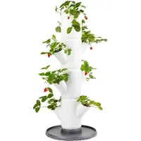 Gusta Garden SISSI STRAWBERRY Zelfbewaterende Starter Planter 4 Lagen, Wit