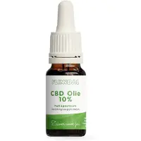 Flinndal Hennep Olie 10% 1 flesje (10 ml, 200 druppels) - 10 ml -