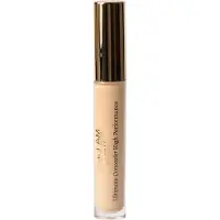 ALL I AM BEAUTY Beauty Ultimate Concealer Medium