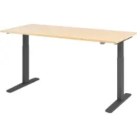 Hjh OFFICE PRO XMKA 19 G - Esdoorn 180 x 80 Tafelhoogte I Elektrisch in hoogte verstelbaar