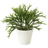 J-Line Platycerium bifurcatum in pot kunstmatig groen