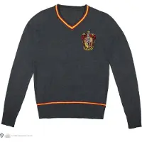 Cinereplicas Unisex, Springer, Gryffindor Trui, Veelkleurig, (L)