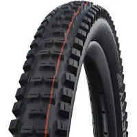Schwalbe - Big Betty Evolution AddixSoft SuperGravity 29'' (62-622) TLE E-50 - Fietsband 29'' x 2,40'' - 62-622, zwart