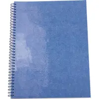Elco Collegeblok A4 Geruit Met spiraal aan zijkant Karton Zachte kaft Blauw Geperforeerd 80 pagina's Pak van 2