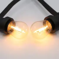 LumenXL Prikkabel set met dimbare 1 watt LED filament lampen