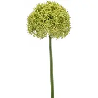 Huismerk Kunstbloem Allium - Kunststof - Groen - 0 x 90 x 0 cm (BxHxD)