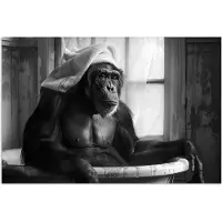 PosterMonkey Poster 30x20 cm - Aap - Dier - Bad - Zwart - Wit - Humor - Posters - Wanddecoratie badkamer - Muurdecoratie WC - Decoratieve accessoires - Toilet muur decoratie
