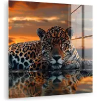 MuchoWow Glasschilderij 50x50 cm - Schilderij acrylglas - Natuur - Luipaard - Dier - Zonsondergang - Modern - Foto op glas - Muurdecoratie woonkamer - Wanddecoratie slaapkamer - Schilderijen