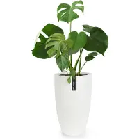 Fox & Fern Bloempot met stop, Bloempot groot voor binnen/buiten, Sierpot UV- & vorstbestendig, Polystone-bloempotten wit, Bloempot 30 cm diameter, Grote plantenpot voor kamerplanten