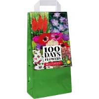 Jub holland 125 Gemengde Zomerbollen - Zomerbloeiende Bloembollen Mix - Voordeelverpakking - Verschillende Kleuren - Grootverpakking