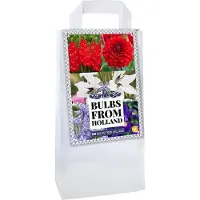 Jub holland Bloembollen 125 Stuks - Dahlia / Gladiolen / Freesia / Triteleia - Rood - Wit en Blauw - Garden Select