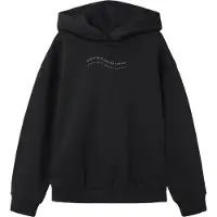 Name It Kids - NKFDEVINA LS RLX SWE HOOD BRU - Meisjes - Sweaters