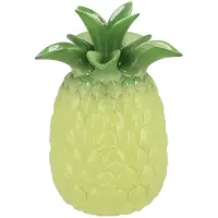 DK Design Bloemenvaas Tropical Pineapple - ananas vaas - groen - D23 x H33 cm