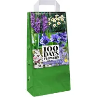 Jub holland 125 Gemengde Zomerbollen - Zomerbloeiende Bloembollen Mix - Voordeelverpakking - Blauw / Wit - Verschillende Kleuren - Grootverpakking