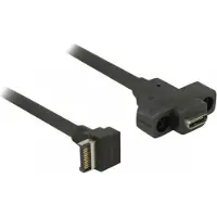 DeLOCK Cable USB 3.1 Gen 2 key A 20 pin male > USB 3.1 Gen 2 USB Type-C female panel-mount 45 cm
