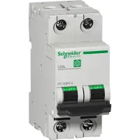 Schneider Electric M9F17206 Zekeringautomaat