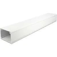 DeLOCK Kunststof kabelgoot met cover en zelfklevende plakstrip - 100 x 8,3 cm / wit