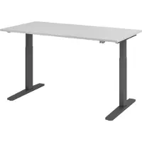Hjh OFFICE PRO XMKA 16 G - Grijs 160 x 80 Tafelhoogte I Elektrisch in hoogte verstelbaar