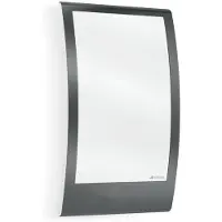 Steinel Wandlamp buiten L 22, dimbaar, zwart, Roestvrij staal, Modern, Wandlamp buiten
