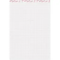 Elco Notitieblok A4 Geruit Gelijmd Wit Geperforeerd 200 Pagina's 10 Stuks à 100 Vellen